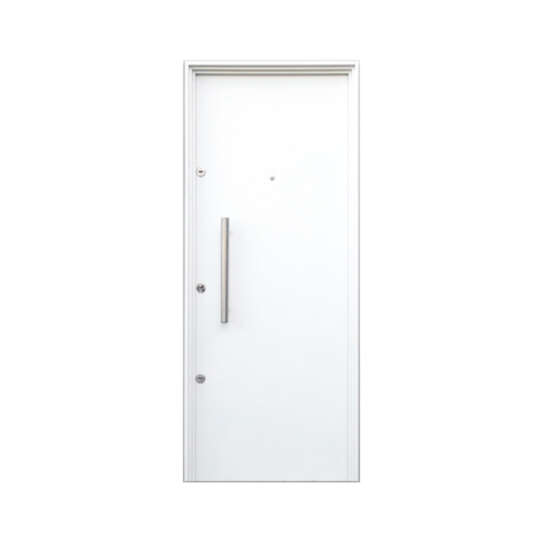 Puerta de Seguridad 121 ciega